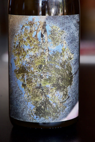 Dorsal Wines Mendocino Chardonnay "Monsoon" 2022