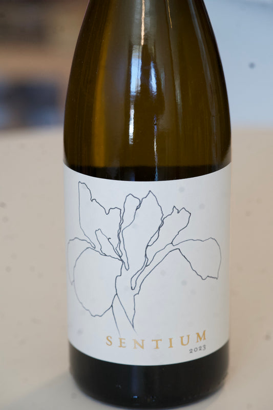 Sentium Mendocino Sauvignon Blanc 2023