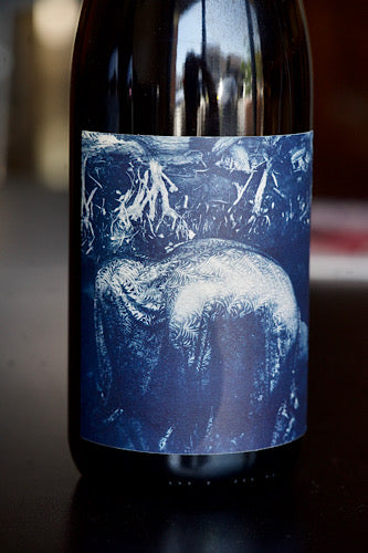 Dorsal Wines Mendocino Red "Krill" 2022