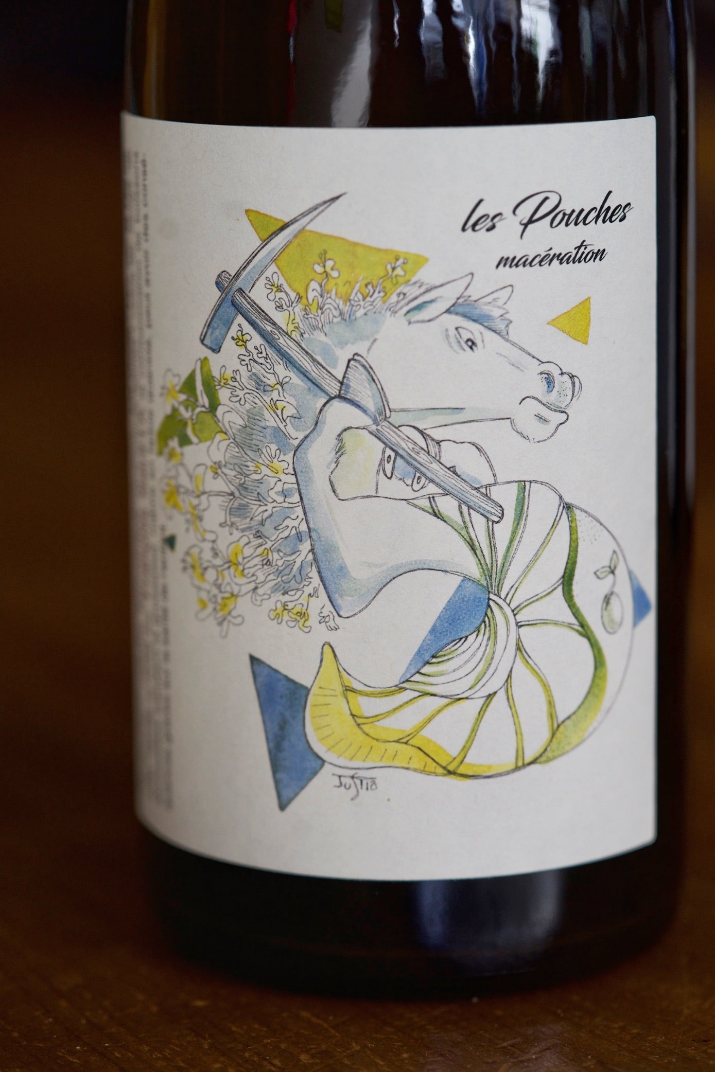 Vin de France White "Les Pouches Macération" Chenin Blanc, François Saint-lô 2020